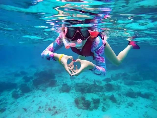 救援海盗章鱼